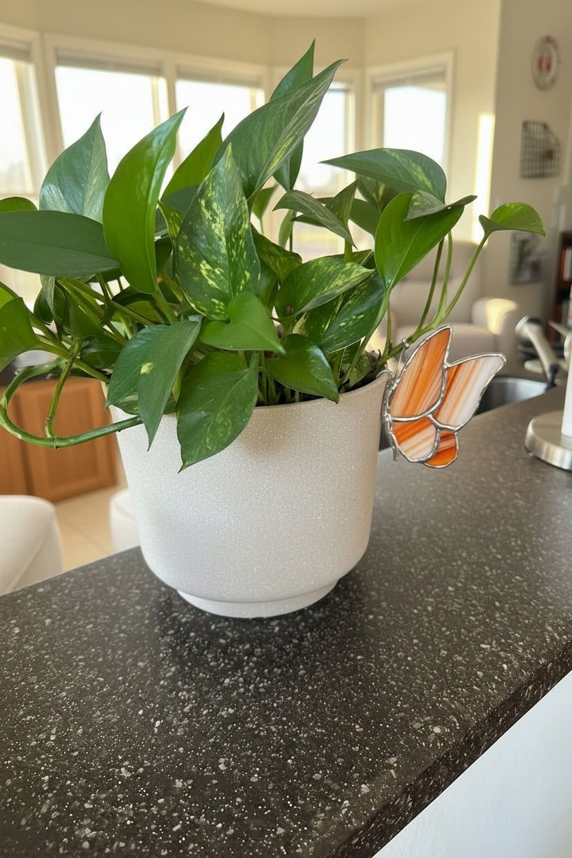 Orange and White Butterfly Pot Buddy