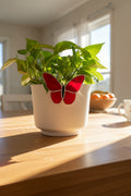 Red Stained Glass Butterfly Plant Pot Buddy